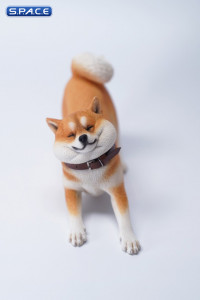 1/6 Scale Shiba Inu »Dont go Home« (brown)