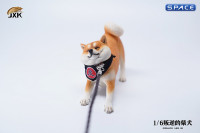 1/6 Scale Shiba Inu Dont go Home (brown)