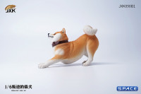 1/6 Scale Shiba Inu Dont go Home (brown)