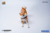 1/6 Scale Shiba Inu Dont go Home (brown)