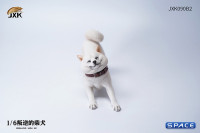 1/6 Scale Shiba Inu Dont go Home (white)