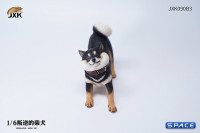 1/6 Scale Shiba Inu Dont go Home (black)