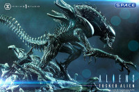 Tusked Alien Premium Masterline Statue - Bonus Version (Aliens vs. Predator: Three World War)