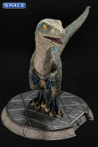 1/2 Scale Baby Blue Legacy Museum Collection Statue (Jurassic World: Fallen Kingdom)