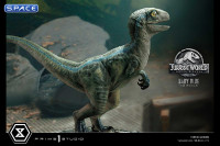 1/2 Scale Baby Blue Legacy Museum Collection Statue (Jurassic World: Fallen Kingdom)