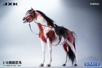 1/6 Scale American Paint Horse (red)