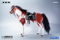 1/6 Scale American Paint Horse (red)