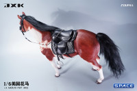 1/6 Scale American Paint Horse (red)