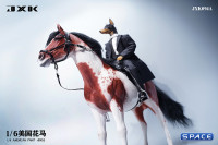 1/6 Scale American Paint Horse (red)