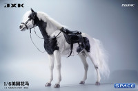 1/6 Scale American Paint Horse (black)