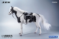 1/6 Scale American Paint Horse (black)