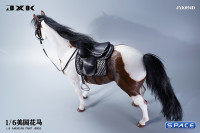 1/6 Scale American Paint Horse (brown)