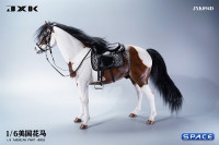 1/6 Scale American Paint Horse (brown)