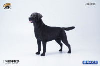 1/6 Scale Labrador Retriever (black)