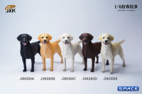 1/6 Scale Labrador Retriever (black)