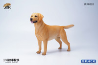 1/6 Scale Labrador Retriever (brown)