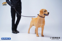 1/6 Scale Labrador Retriever (brown)