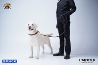 1/6 Scale Labrador Retriever (white)