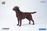 1/6 Scale Labrador Retriever (dark brown)