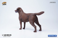 1/6 Scale Labrador Retriever (dark brown)