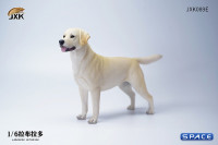 1/6 Scale Labrador Retriever (beige)