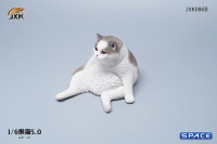 1/6 Scale sitting Cat (grey)