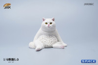 1/6 Scale sitting Cat (white)