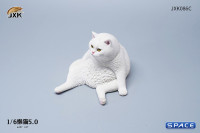 1/6 Scale sitting Cat (white)