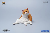 1/6 Scale sitting Cat (red)