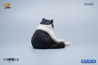 1/6 Scale sitting Cat (black)