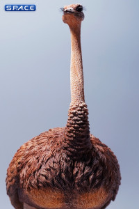 1/6 Scale Ostrich (brown)