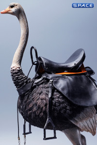 1/6 Scale Ostrich with saddle (black)