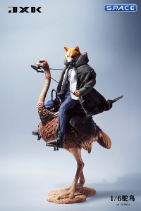 1/6 Scale Ostrich with saddle (brown)