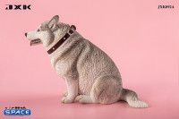 1/6 Scale fat Husky (grey)