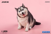 1/6 Scale fat Husky (black)