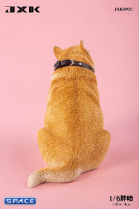 1/6 Scale fat Husky (brown)