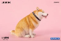 1/6 Scale fat Husky (brown)