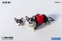 1/6 Scale Welsh Corgi Pembroke (black)