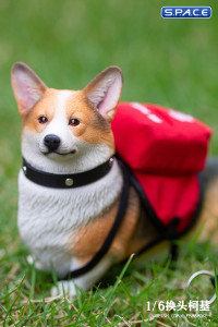 1/6 Scale Welsh Corgi Pembroke (brown/black)