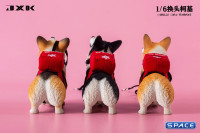 1/6 Scale Welsh Corgi Pembroke (brown/black)
