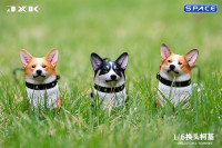 1/6 Scale Welsh Corgi Pembroke (brown/black)