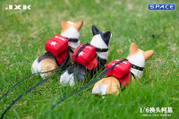 1/6 Scale Welsh Corgi Pembroke (brown/black)