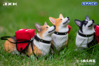 1/6 Scale Welsh Corgi Pembroke (brown/black)