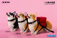 1/6 Scale Welsh Corgi Pembroke (brown/black)