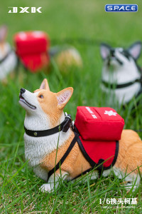 1/6 Scale Welsh Corgi Pembroke (brown)