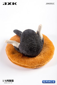 1/6 Scale Chicken Leg Cat (black)