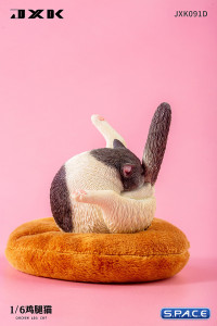 1/6 Scale Chicken Leg Cat (white/black)