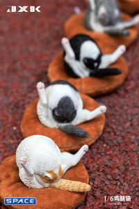 1/6 Scale Chicken Leg Cat (white/black)