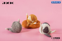 1/6 Scale Chicken Leg Cat (white/black)