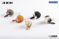 1/6 Scale Chicken Leg Cat (white/black)